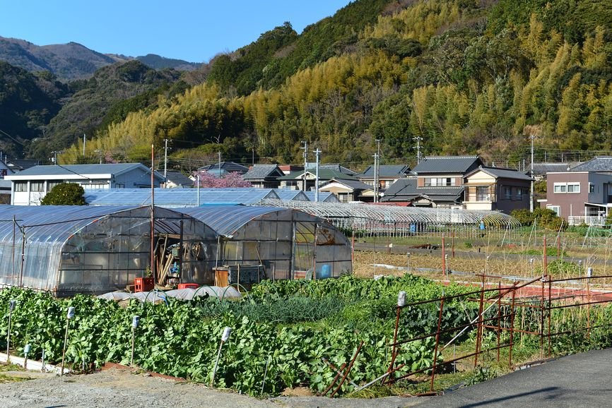 Greenhouses and farmland in Japan
