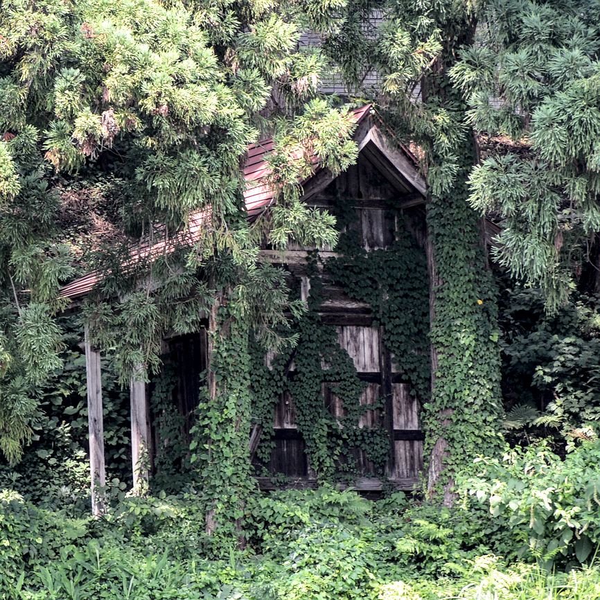 An abandoned home (akiya) near Echigo-Yuza, Japan