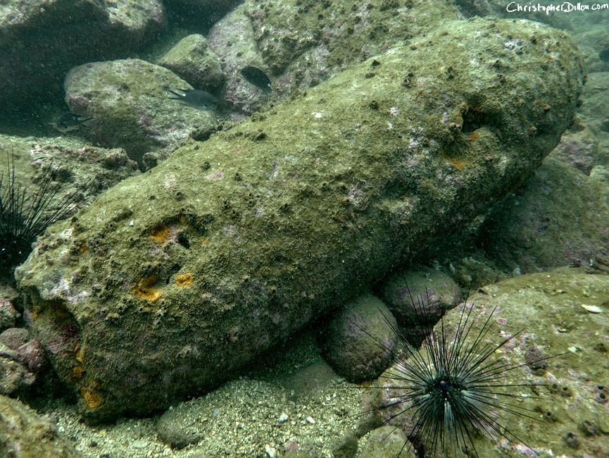 The submerged UXO -- A 500-pound WW II aerial bomb