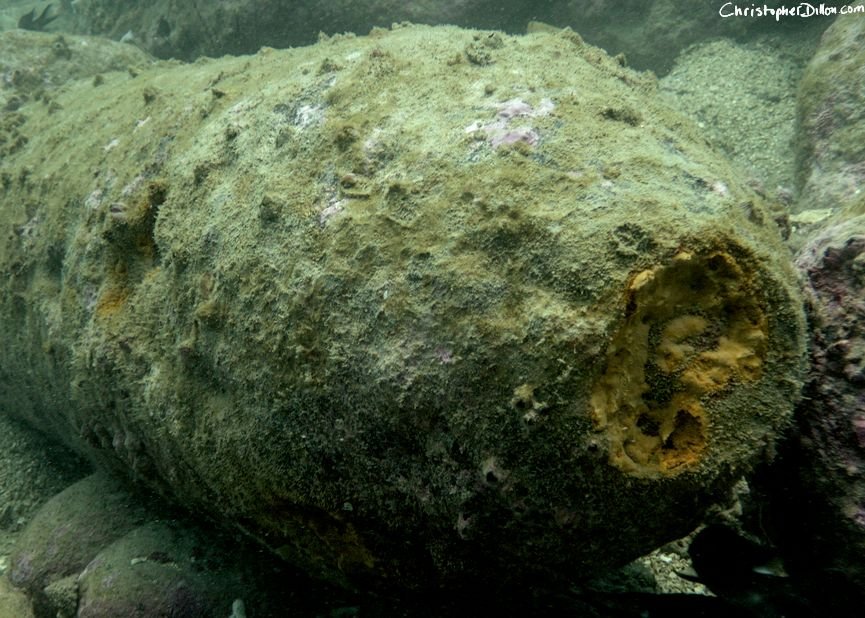 The nose section of the submerged UXO, a 500-pound WW II aerial bomb